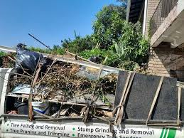 Shed Removal in North Merritt Island, FL